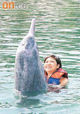 新加坡明星海豚又攬又錫圖片4