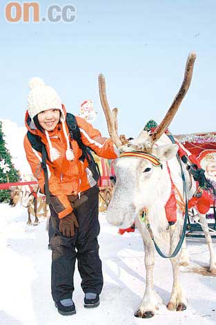 哈爾濱旅行雕冰鑿雪迎春接福圖片1