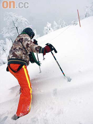 日本東北阿仁滑雪場上山搵10米雪魔圖片2