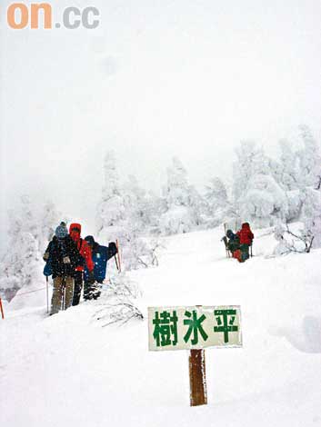 日本東北阿仁滑雪場上山搵10米雪魔圖片5