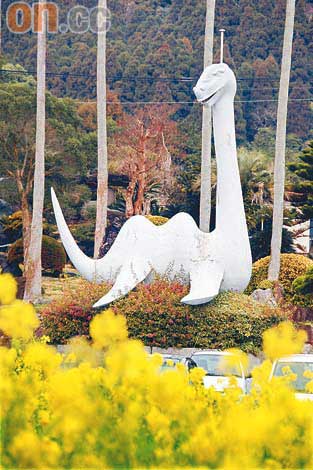 日本鹿兒島熱情的沙浴圖片9