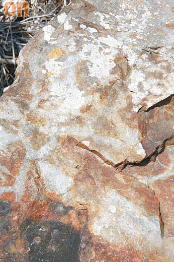 「大埔地質公園中心」馬屎洲古老岩石老過恐龍圖片9