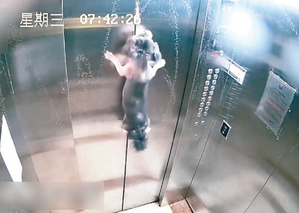 廣東：深圳有狗隻被獨留升降機中，慘被狗繩箍頸吊起。