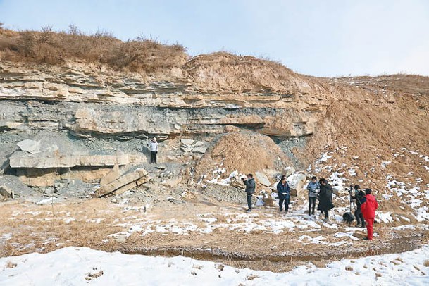 團隊在柳溝峁村意外發現龜類足迹。