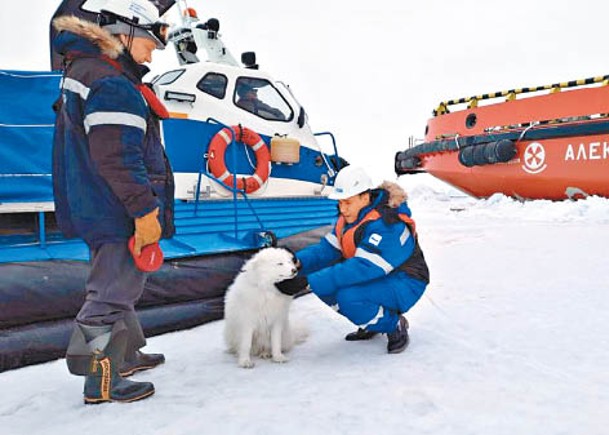 北極流浪一周  俄羅斯西摩犬獲救