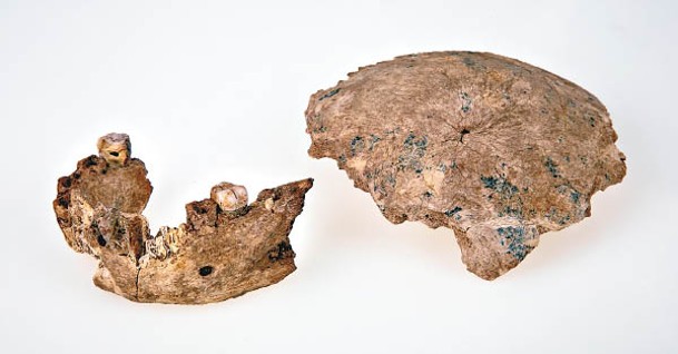 內謝爾‧拉姆拉人的腦殼和下顎化石出土。