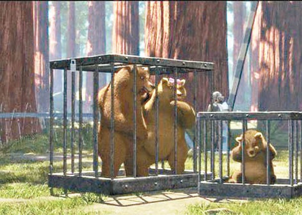 網民重組母熊遭遇不幸的時間線。