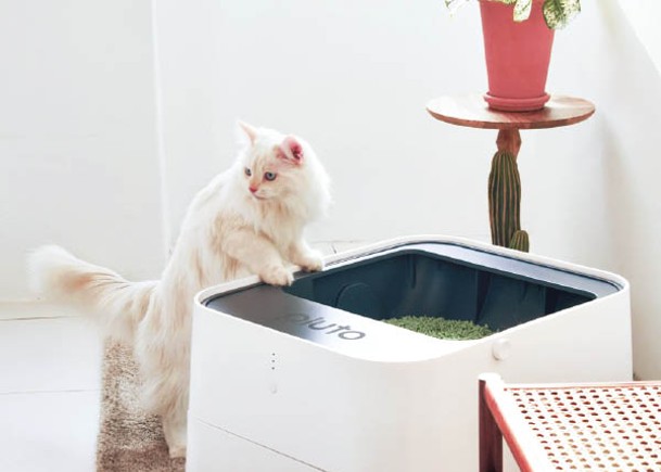 潮流創意：智能貓沙盤  自動分隔排便