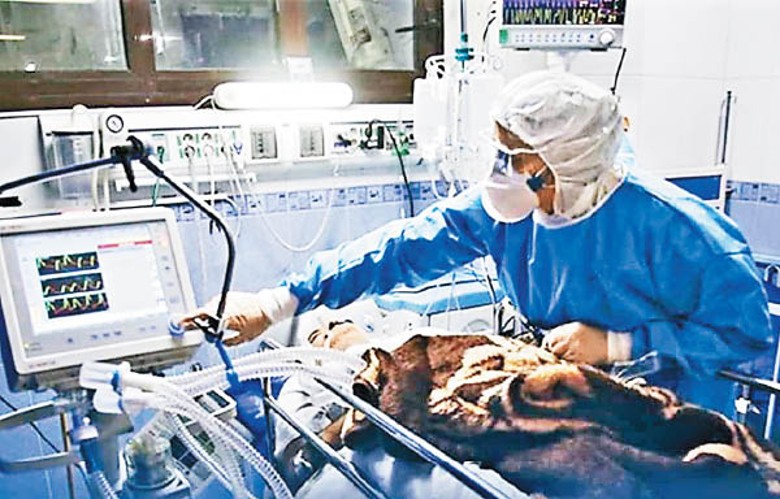 伊朗疫情致醫療問題嚴峻。