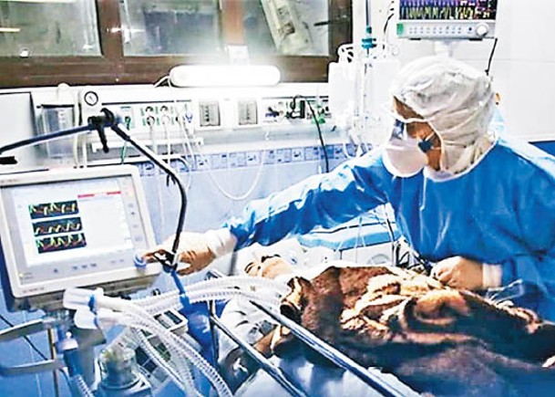 伊朗疫情致醫療問題嚴峻。