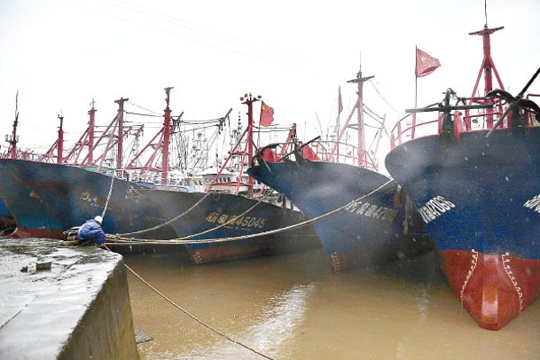 浙江寧波多艘船隻停在避風港。（中新社圖片）