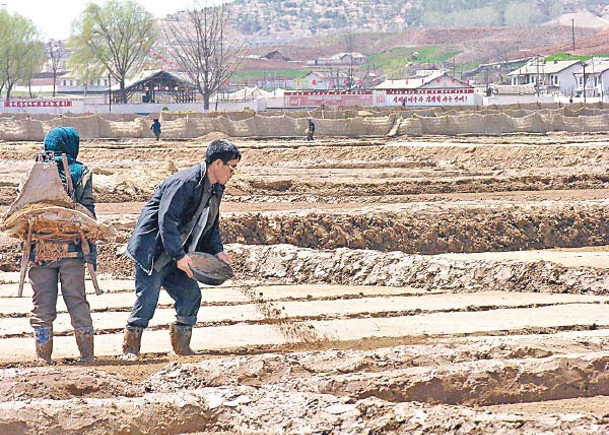 北韓熱爆  連續15天高溫  雨量歷來第二低