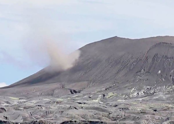 西之島火山爆發兩載後  現新物種