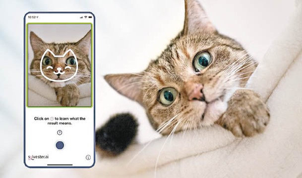 該手機程式據稱可分析貓咪身體狀況。