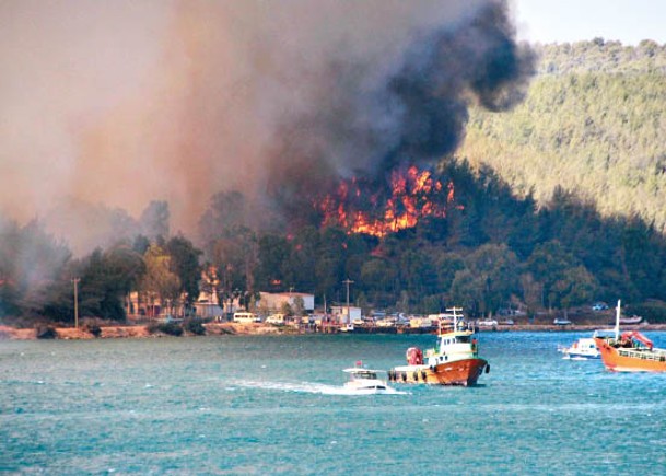土耳其南部山火蔓延  3死58傷
