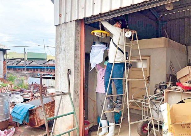 台南再現日本腦炎  屬本土感染