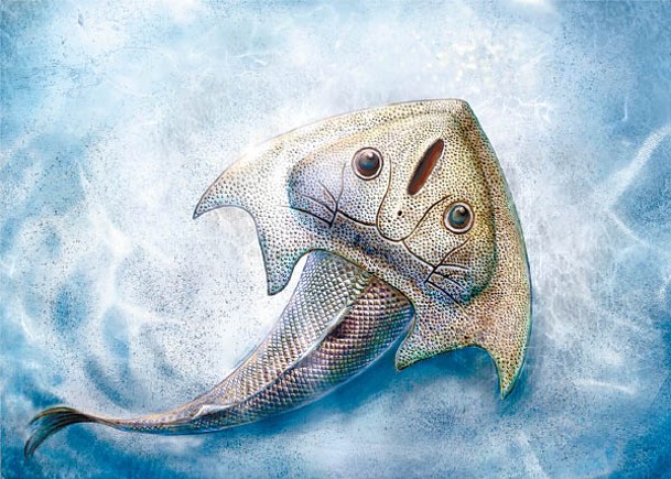 劉氏鐮角魚生態復原圖。（中新社圖片）