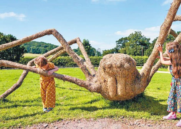 藝術家稻草製雕塑  以夜行動物為藍本