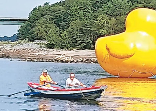 巨型黃鴨現身緬因州  冧爆市民