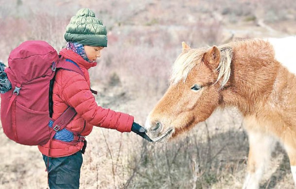 薩頓沿途遇上野生動物。