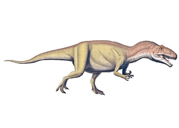 異特龍屬曾被認為是頂級掠食者，圖為構想圖。