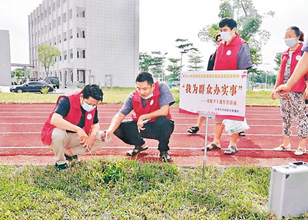 紅火蟻肆虐  廣東多管齊下防控