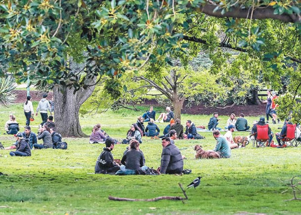墨爾本民眾在皇家植物園野餐。