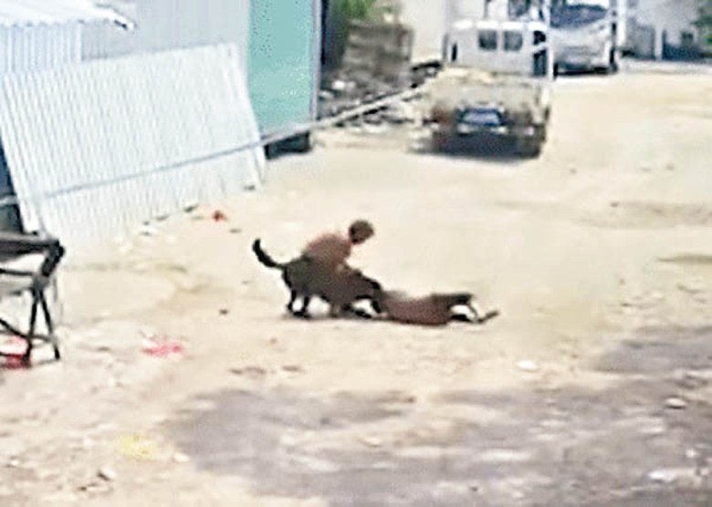 黑狗撕咬老婦（右）頭頸，另一女子（左）試圖把黑狗拉開。
