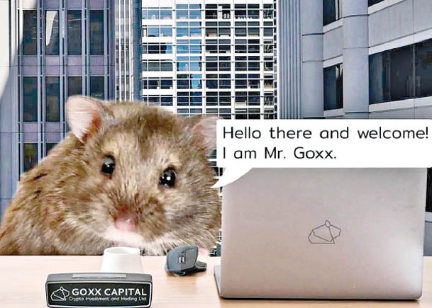倉鼠交易員Mr‧ Goxx在網上備受關注。