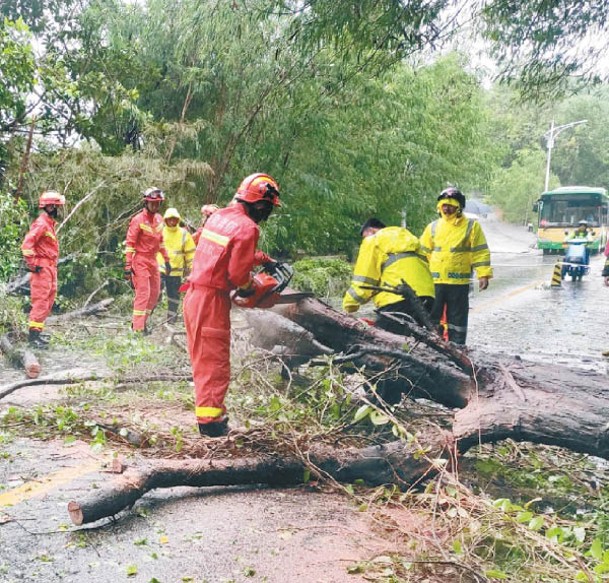 海南省三亞市道路有樹木倒塌。