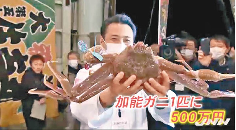 「輝」級松葉蟹品牌「加能蟹」，以34萬港元成交。