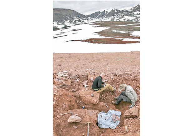 團隊在格陵蘭挖出恐龍頭骨化石。