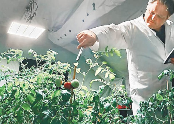 模擬火星土壤美廠商製番茄醬 東方日報