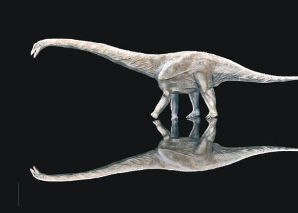 美國復原化石  超級龍身長42米