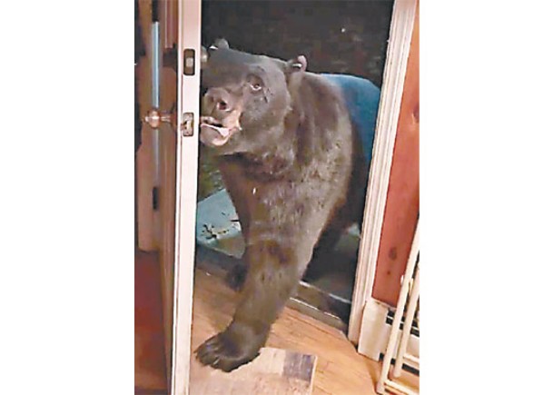 黑熊造訪  識咬柄關門