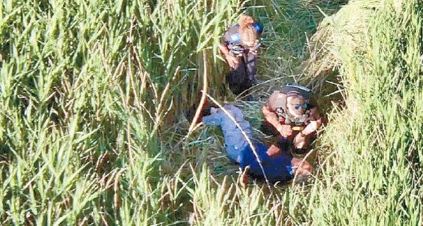 搜救人員在長滿野草地方發現吉布林。