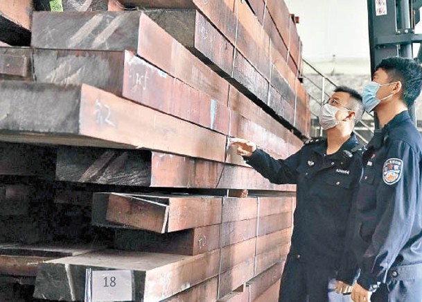 緝私局查獲一批低報價格的走私進口木材。