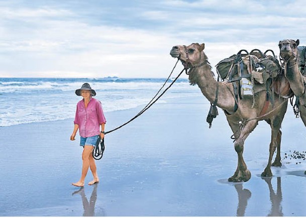 5000公里冒險之旅  女子帶5駱駝橫越澳洲