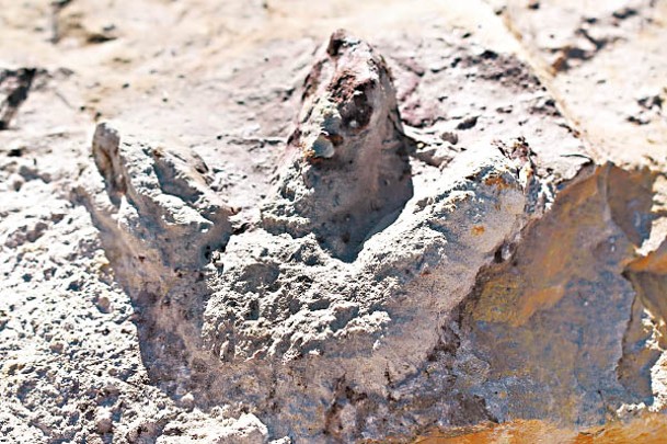 考古人員發現三趾掠食性恐龍化石。
