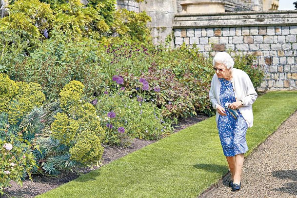 英女王過往欣賞溫莎堡周邊的花卉。（Getty Images圖片）