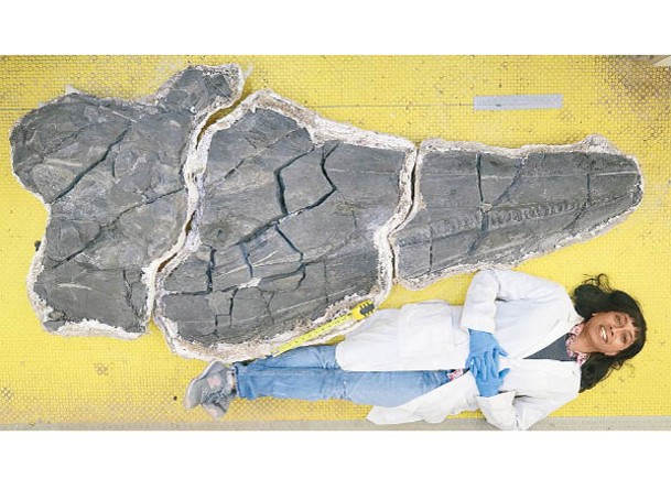 美國出土魚龍化石  證屬17米長新品種