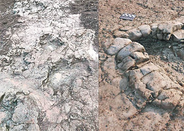 英發現兩億年恐龍足迹