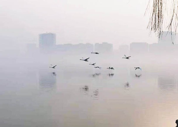 河南省多地受霧霾侵襲。