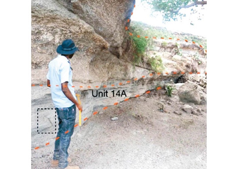 考古團隊在化石發現的地點研究岩石層。
