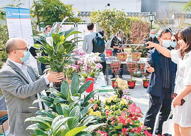 廣州花市不會採用傳統集中擺檔方式。