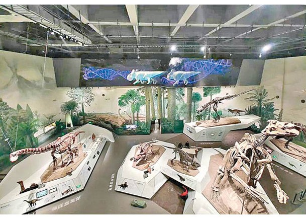 展覽展出多款恐龍化石。