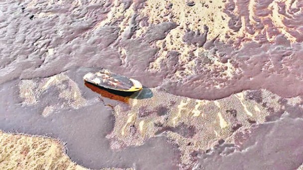 海灘出現大面積的油污。