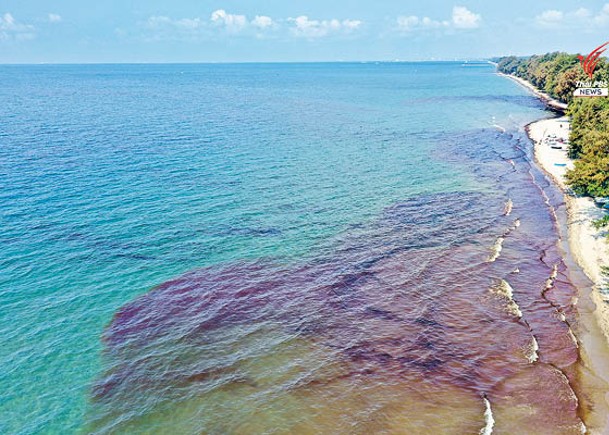 原油流入海中引發污染。  （電視畫面）