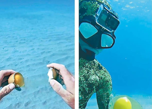 網紅海底做實驗  蛋黃哥慘變魚點心