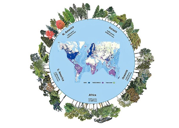 全球估計擁7.3萬樹木種類